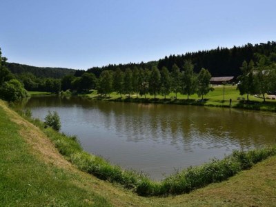 Holiday house Saint-Quirin Gartenaufenthalt - Environment photo 34