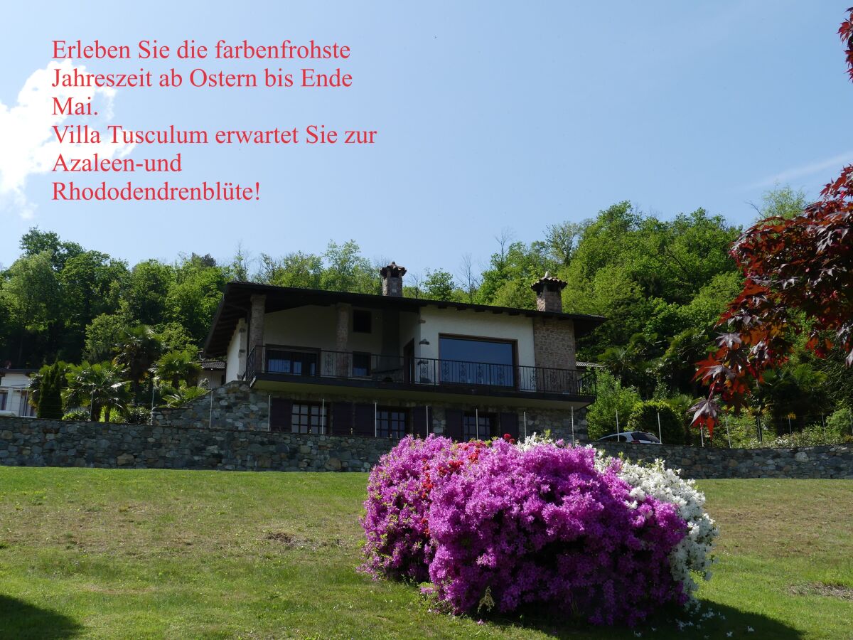 Holiday house Tusculum Germignaga