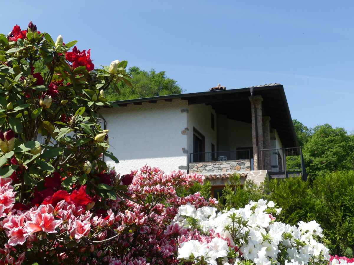 Holiday house Tusculum Germignaga - Outdoor photo 3