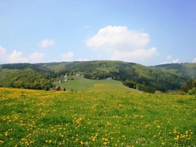 Apartment Ferienwohnung in Madfeld nahe Wald - Environment photo 24