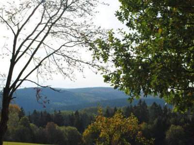 Apartment Ferienwohnung in Madfeld nahe Wald - Environment photo 31