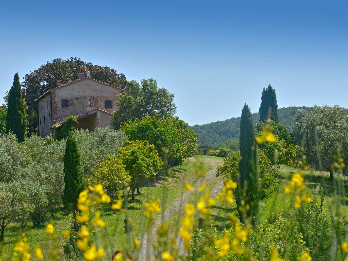 Holiday house Casa Mia - Outdoor photo 4