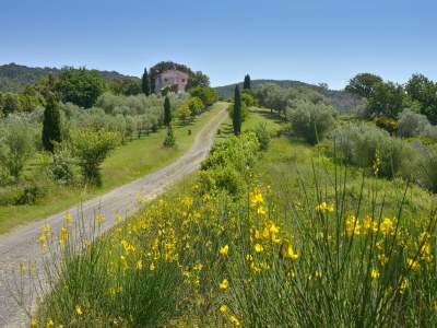 Holiday house Casa Mia - Environment photo 26