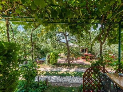 Apartment - Apartment Teri with Terrace and Garden in Nova Vas - Apartment