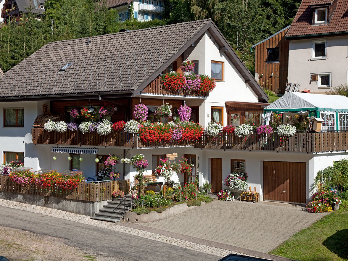Holiday apartment Waltraud Heitz - Outdoor photo 3