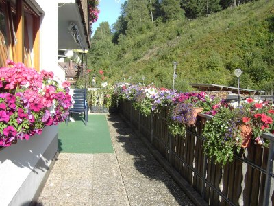 Holiday apartment Waltraud Heitz - Outdoor photo 8