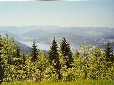 Holiday apartment Waltraud Heitz - Outdoor photo 10