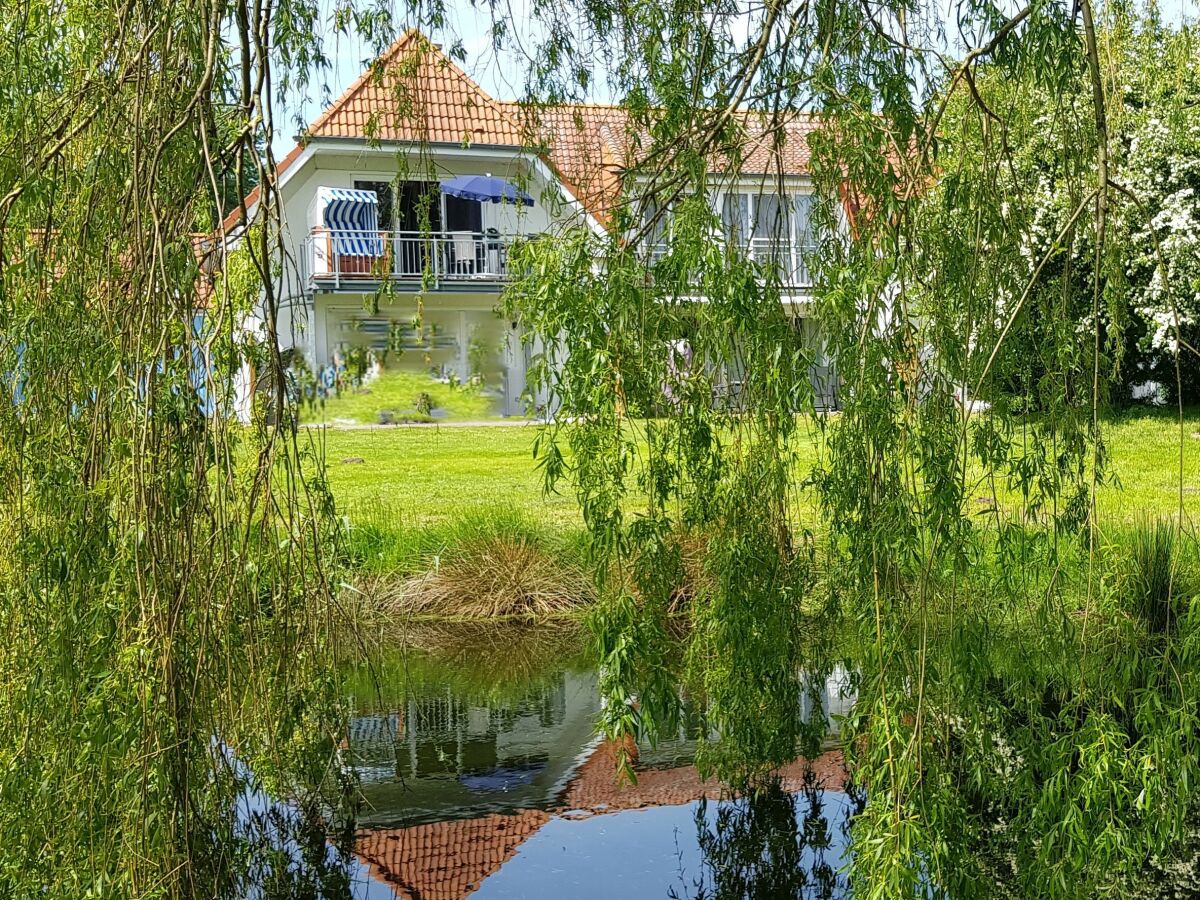Holiday apartment View of the Bodden