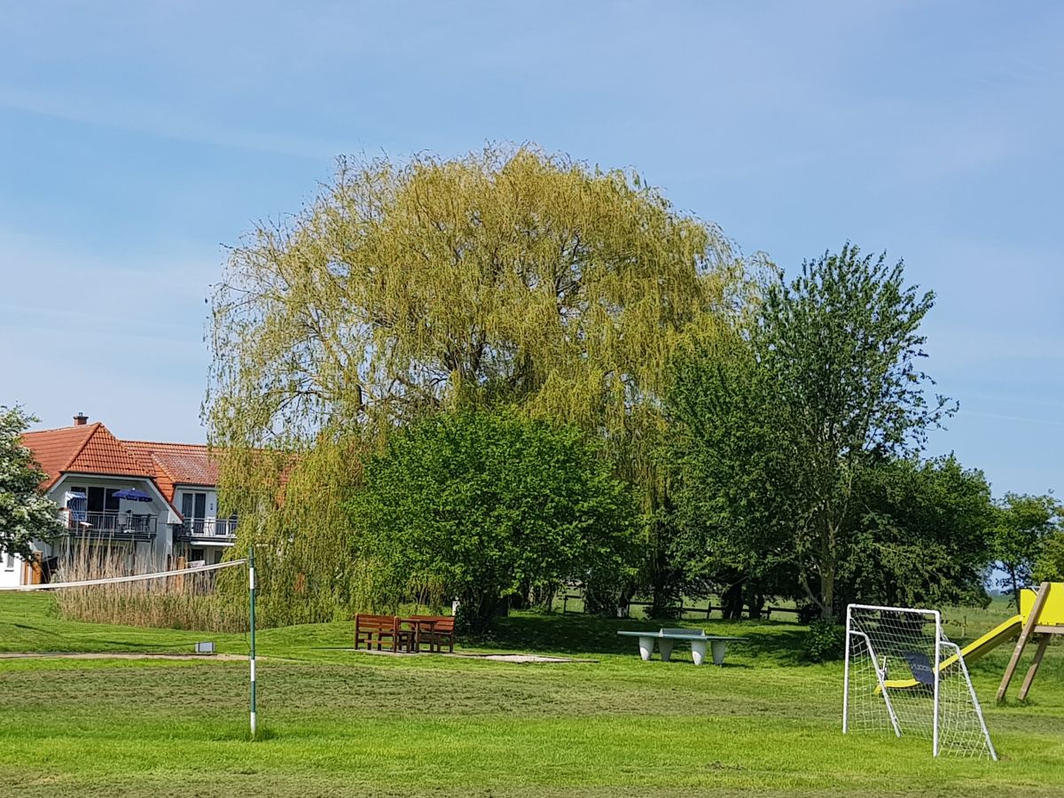 Holiday apartment View of the Bodden - Outdoor photo 5