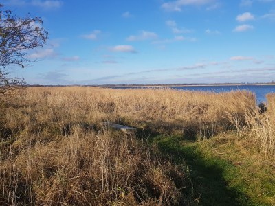Holiday apartment View of the Bodden - Outdoor photo 9