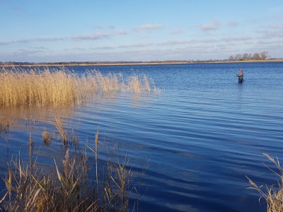 Holiday apartment View of the Bodden - Outdoor photo 10