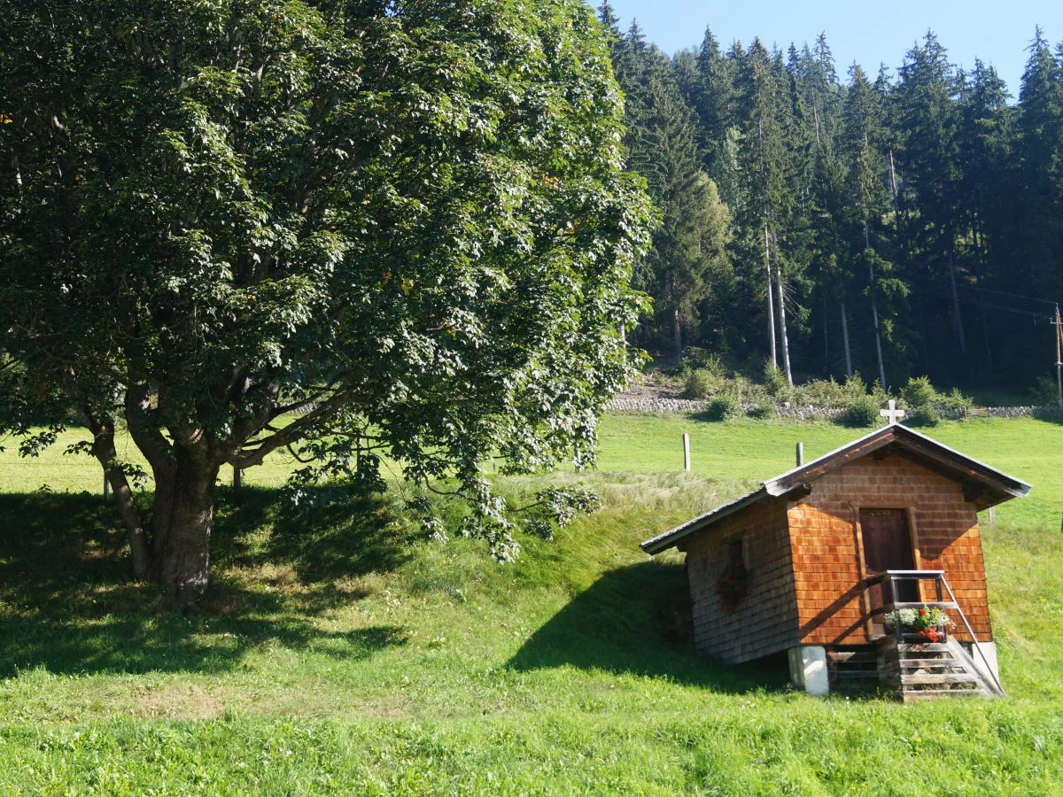 Holiday apartment Hettlgrub - Outdoor photo 4