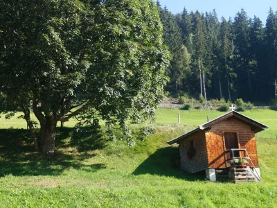 Holiday apartment Hettlgrub - Outdoor photo 4