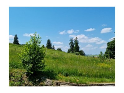 Holiday apartment Villa im Wald - Features photo 14