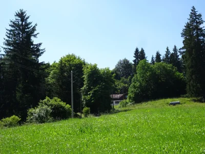 Holiday apartment Villa im Wald - Environment photo 21