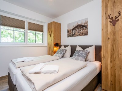 Chalet Chalet in Mühlbach near Ski Amade - Features photo 16