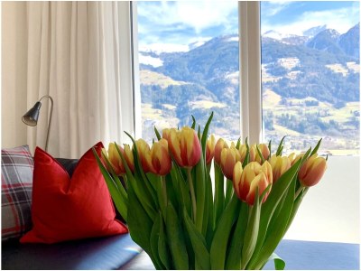 Holiday house Panorama Lounge - Outdoor photo 4