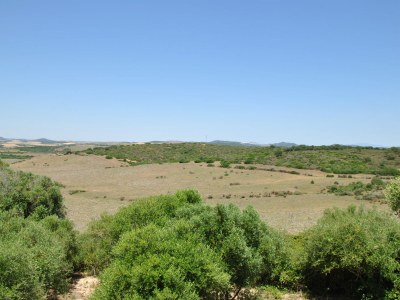 Holiday house 0569 Finca Cortijo Los Olivos - Outdoor photo 7