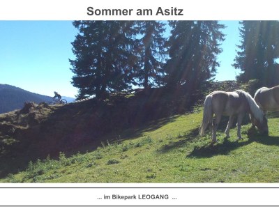 Holiday apartment appartement-an-der-piste.at - Environment photo 27