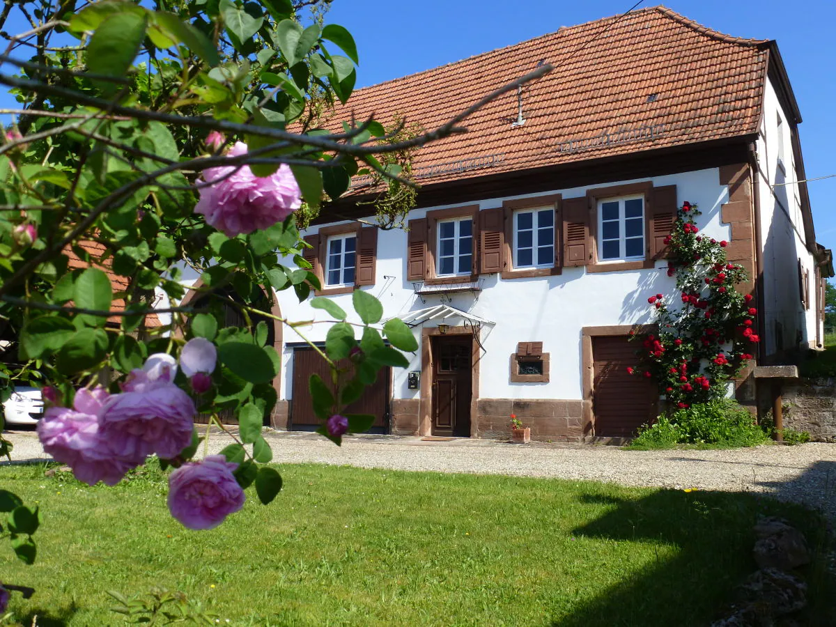 Holiday house Domaine du Chasseur Wanzel