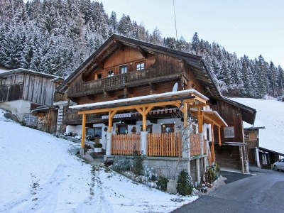 Apartment Wohnung in Kaltenbach nahe Skilift in Erste Ferienregion - Apartment
