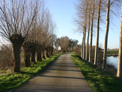 Villa Lagom - Environment photo 18