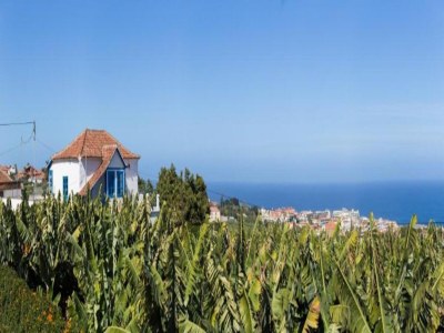 Holiday house Ferienhaus Mesa del Mar am schwarzen Strand - Environment photo 33