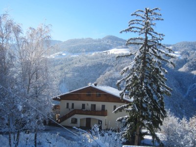 Holiday apartment Prackfolerhof - Outdoor photo 3