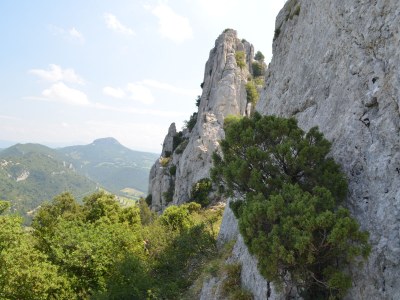 Holiday house La Bergerie - Outdoor photo 9