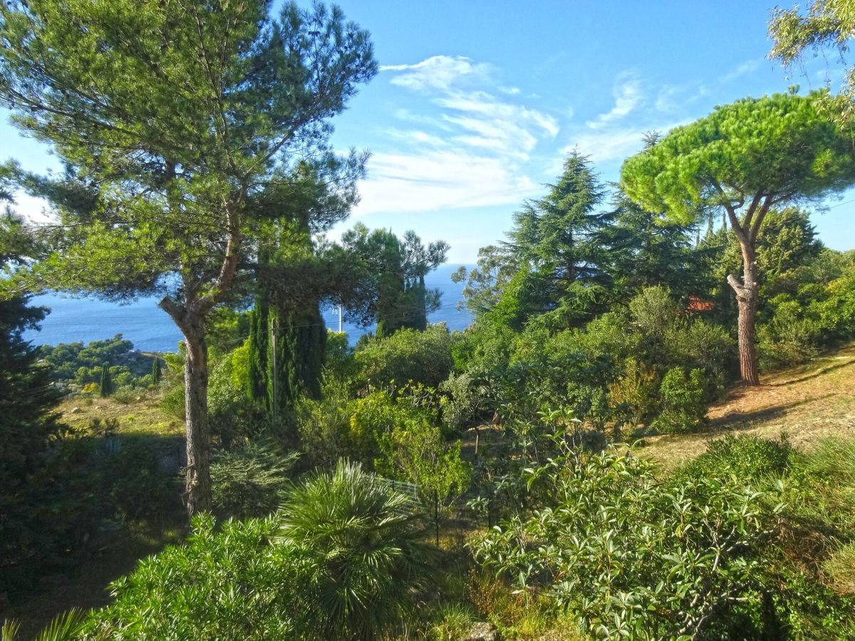 Holiday house Carina 1 - Outdoor photo 3