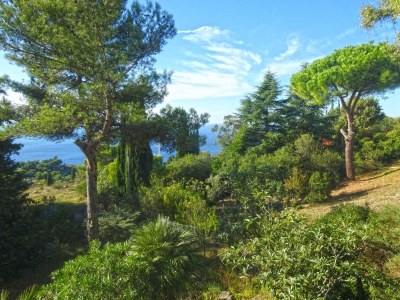 Holiday house Carina 1 - Outdoor photo 3