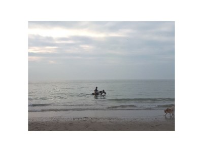 Holiday house Vacation for You and Your Dog - Environment photo 16