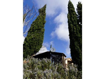 Holiday house Casa Quercia - Outdoor photo 8