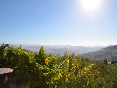 Holiday house Villa in Alia with Pool & Olive Views - Environment photo 22