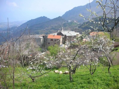 Holiday apartment Sole e Ventu (50 sm) - Environment photo 21