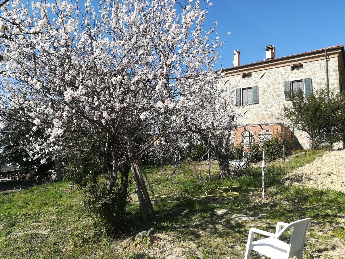 Holiday house Fattoria Aione - Outdoor photo 3