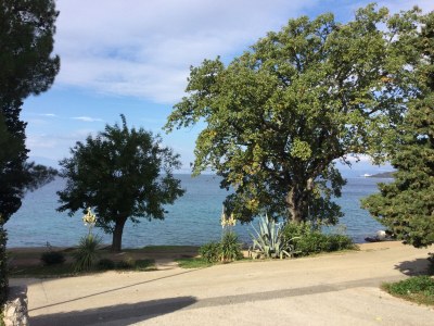 Holiday apartment Pavic - Environment photo 31