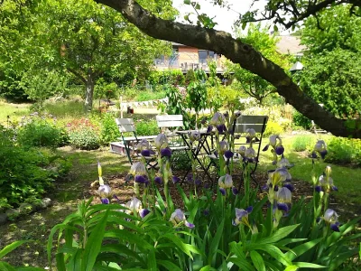 Holiday house Villa Moana - Outdoor photo 4