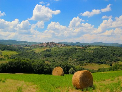 Villa Elysian Escape - A paradise - Outdoor photo 16