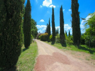 Villa Elysian Escape - A paradise - Environment photo 37