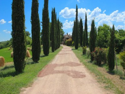 Villa Elysian Escape - A paradise - Environment photo 38