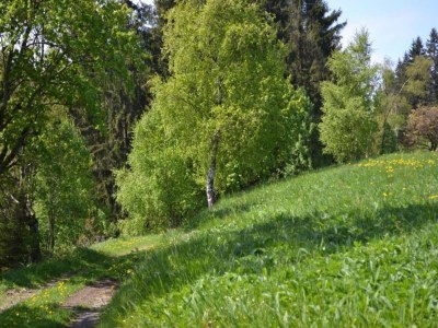 Apartment Wohnung in nahe Harzwald - Environment photo 23