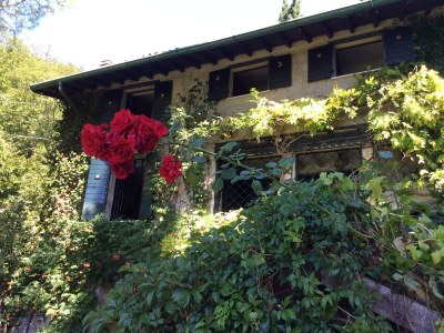 Villa Villa Lavanda - Outdoor photo 13