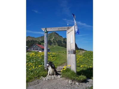 Holiday apartment Landhaus Fischer - Environment photo 18