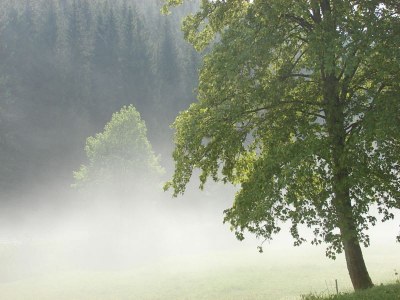 Holiday apartment Weidenhausen Water Mill Apartment 2 - Environment photo 34