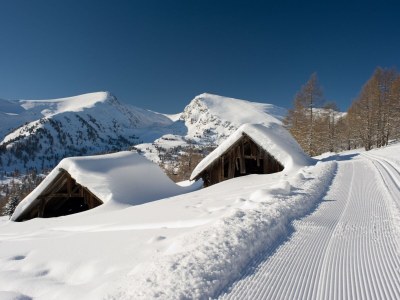 Chalet Chalet Almsommer (Heidi Chalets Falkertsee) - Environment photo 29