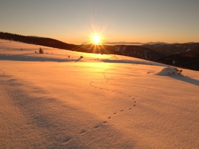 Chalet Chalet Almsommer (Heidi Chalets Falkertsee) - Environment photo 33