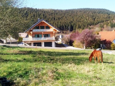 Holiday house Steinbach See Lodges (House B) in Langweiler - Holiday house