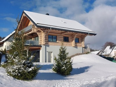 Holiday house Steinbach See Lodges (House B) - Outdoor photo 8