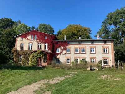 Apartment Alt Krassow Lakeside Retreat in Warnkenhagen - Apartment